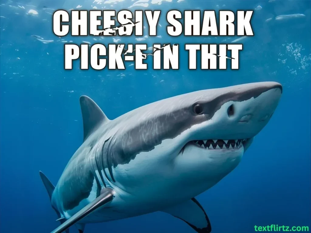 Cheesy Shark Pick Up Lines