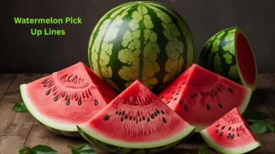 Watermelon Pick Up Lines