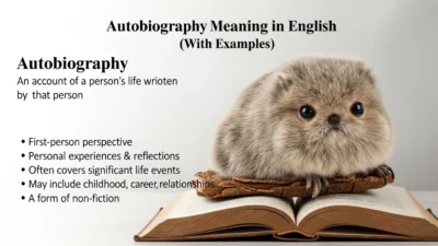 Autobiography Meaning